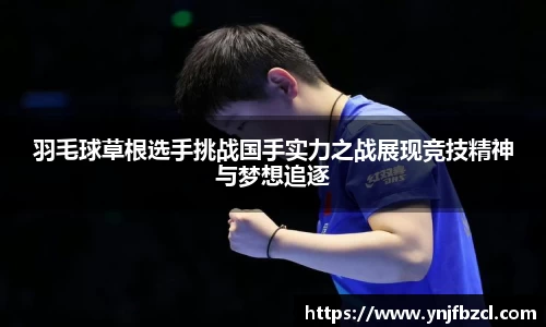 PA视讯