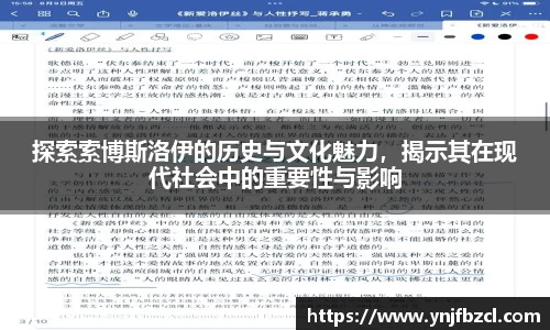 探索索博斯洛伊的历史与文化魅力，揭示其在现代社会中的重要性与影响
