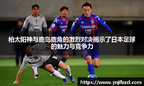 PA视讯官网