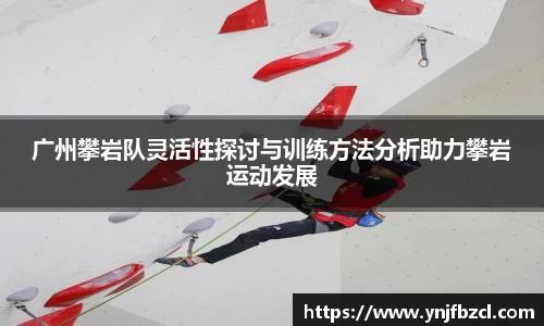 PA视讯平台
